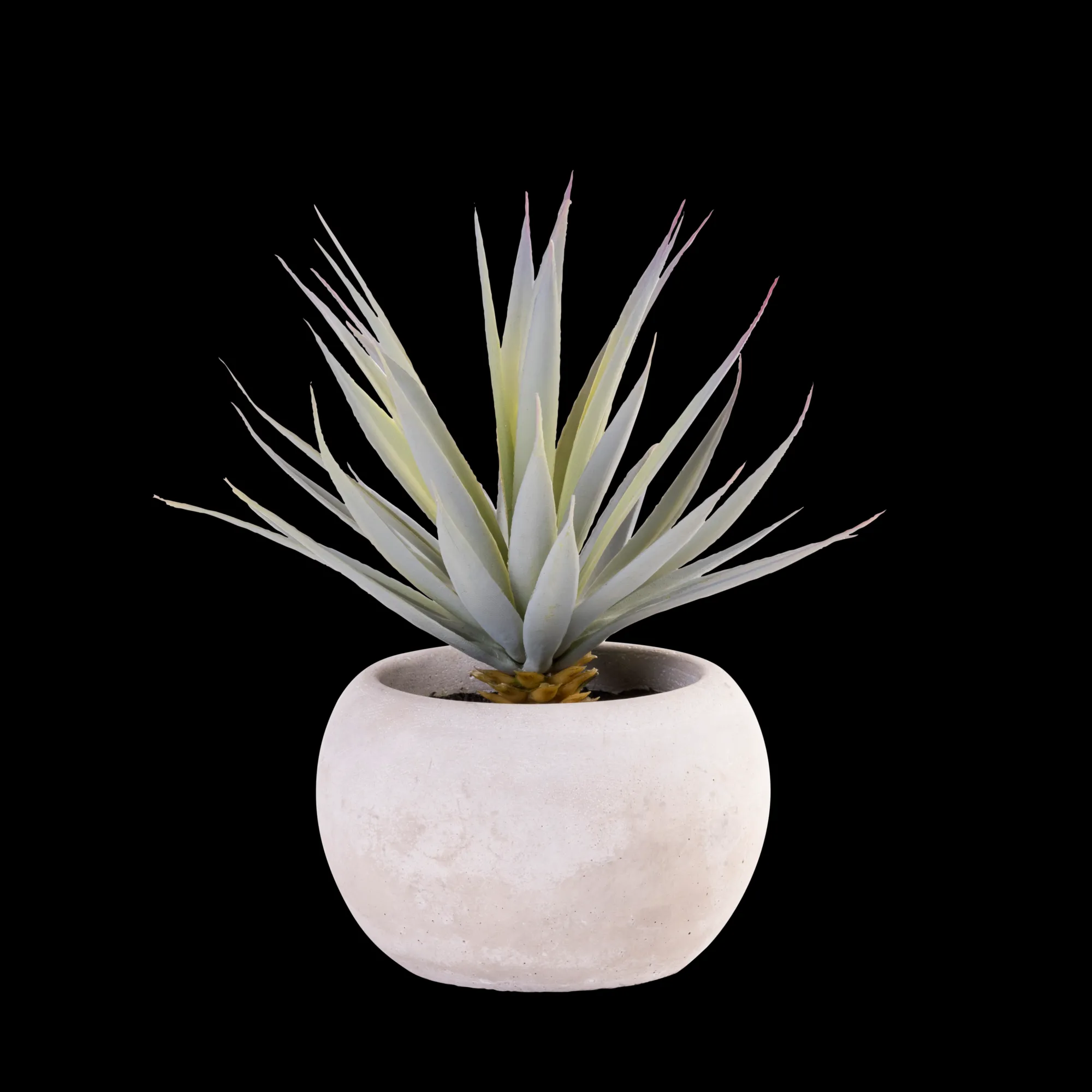 CASA Cement Succulente Finto In Vaso Grigio* Piante Artificiali