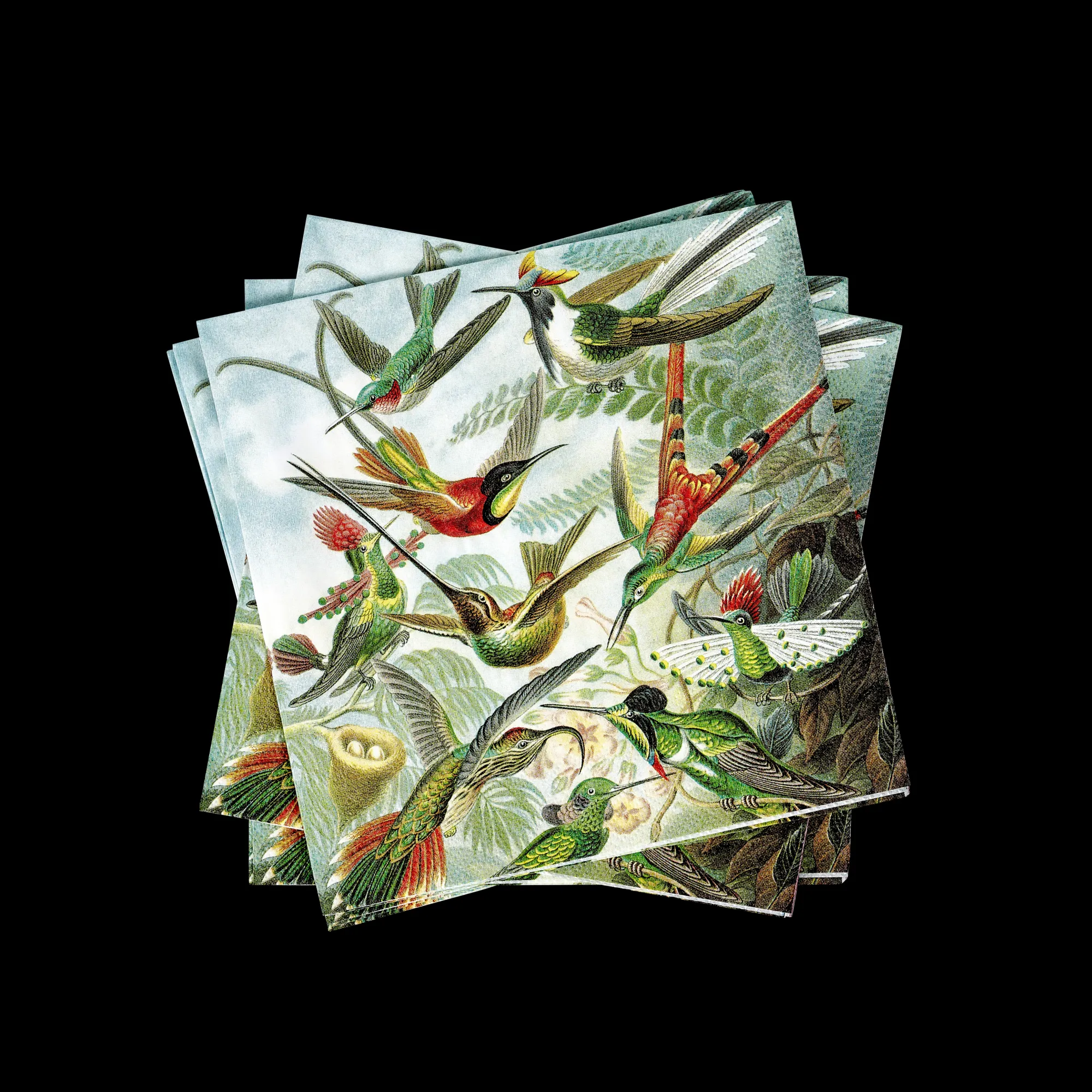 CASA Colibri Set Di 20 Tovaglioli Multicolore* Tovaglioli