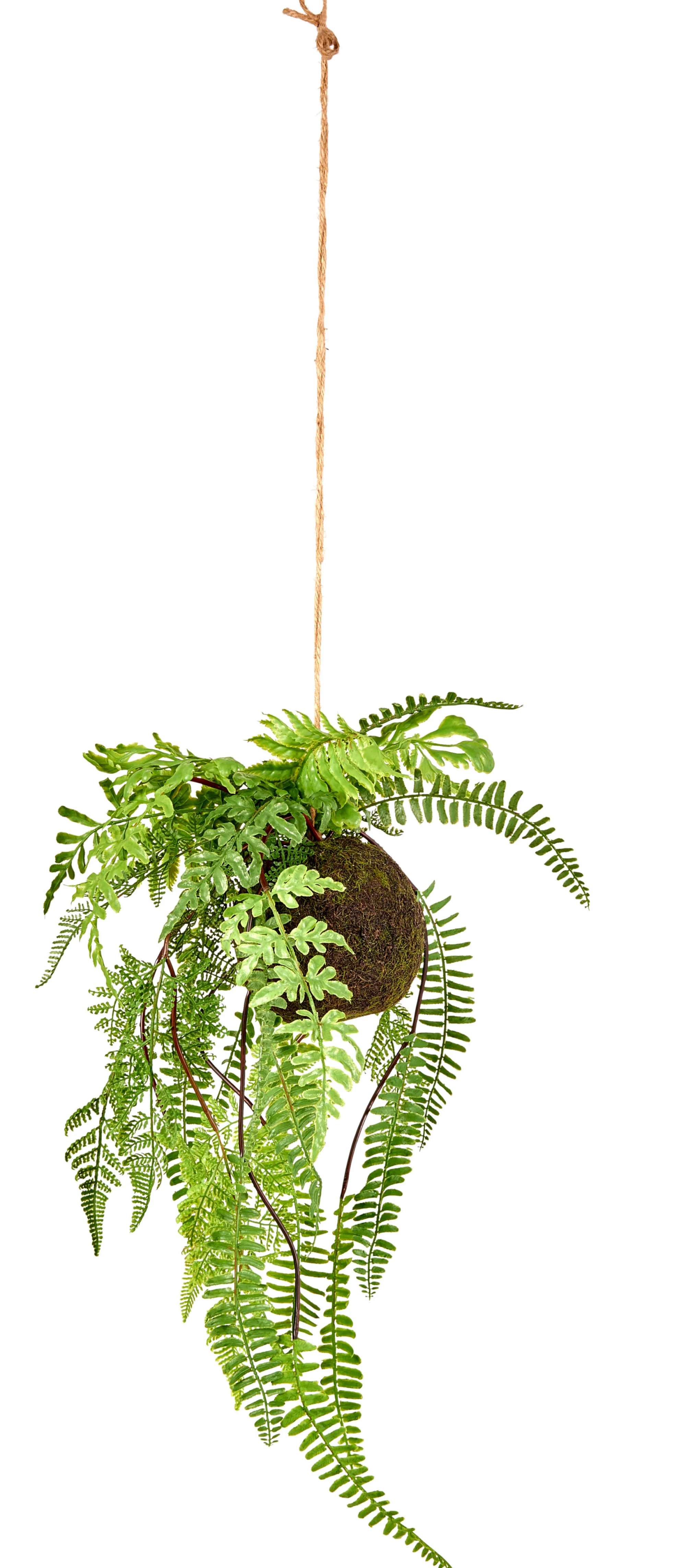 CASA Greenery Vaso Sospeso Con Felce Verde* Piante Artificiali