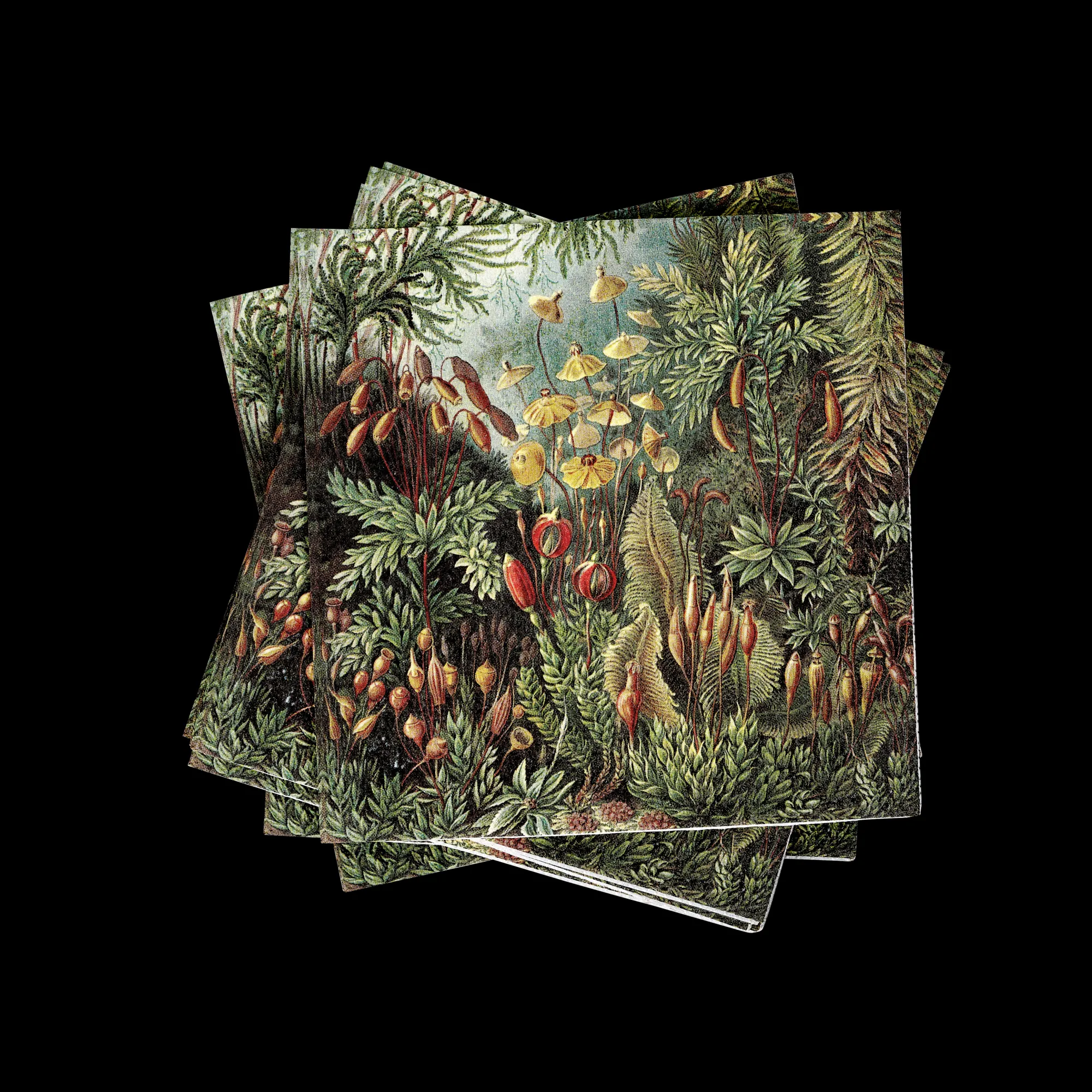 CASA Moss Set Di 20 Tovaglioli Multicolore* Tovaglioli